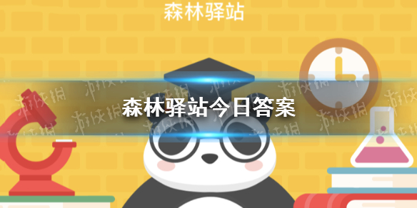 亚洲象孕期有几个月 微博森林驿站今日答案10月27日