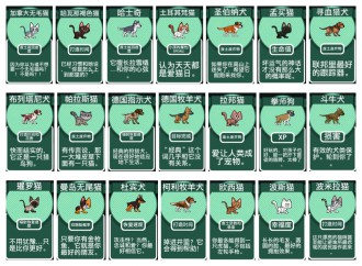 宠物也有大神通《辐射 避难所》萌宠大盘点[多图]