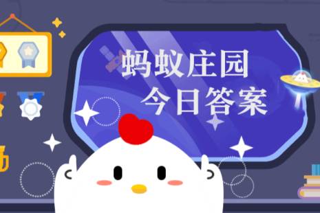 2022年11月4日小鸡庄园答案 小鸡庄园今天答案最新
