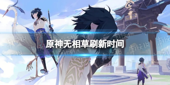 《原神》无相之草多久刷新一次 无相草刷新时间介绍