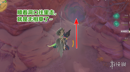 《原神》无相之草多久刷新一次 无相草刷新时间介绍