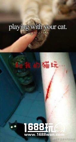 万圣节最佳COS，不给糖就爆照 搞笑囧图[多图]