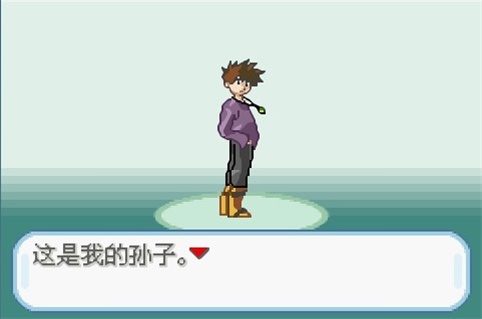 口袋妖怪圣灰汉化版