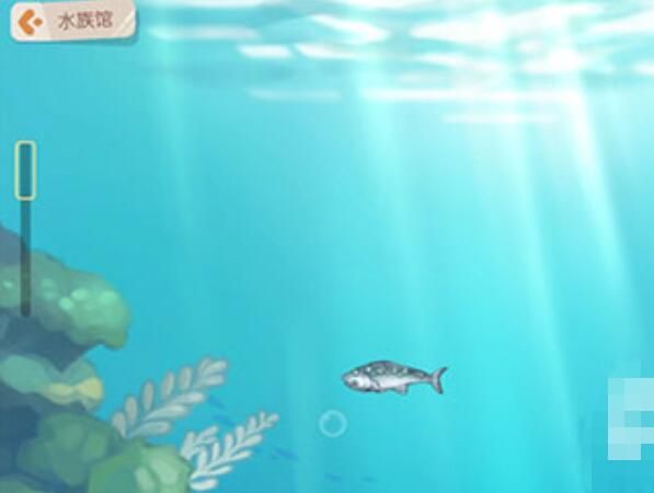 奥比岛手游水族馆在哪 水族馆鱼怎么拿出来[多图]