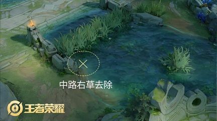 王者荣耀S14赛季峡谷地形大调整 草丛防御塔小兵调整汇总[多图]
