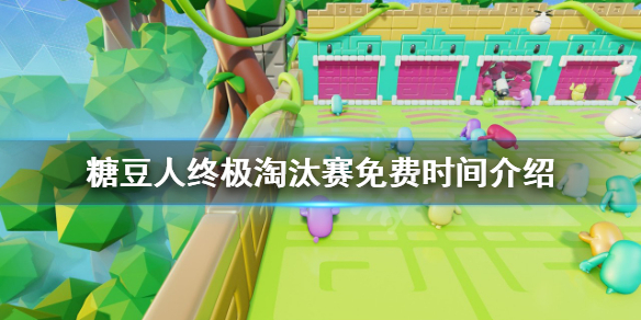 糖豆人终极淘汰赛攻略-免费时间介绍