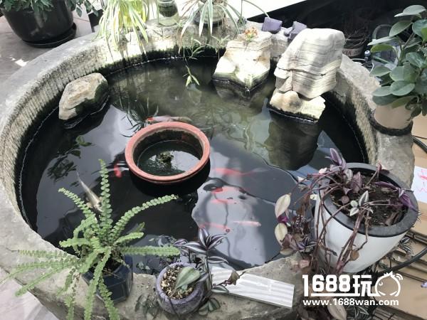 玉帝哥哥背后推手曝光 《轮回诀》开发团队探秘[多图]