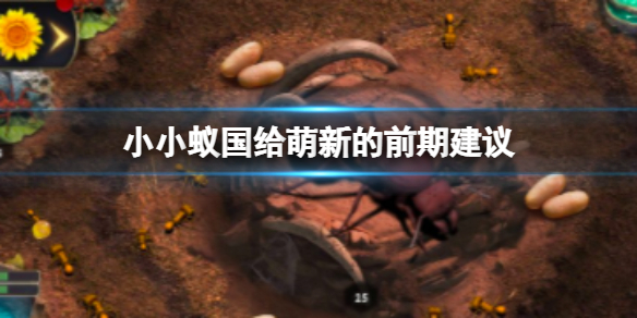 《小小蚁国》给萌新的前期建议 萌新前期攻略指南