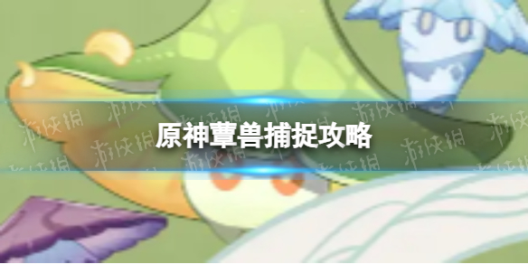 《原神》灵蕈怎么抓 蕈兽捕捉攻略