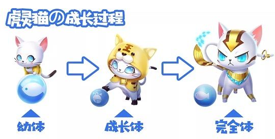 QQ飞车手游萌宠虎灵猫怎么得？10月19日魔法奇妙夜活动汇总[多图]