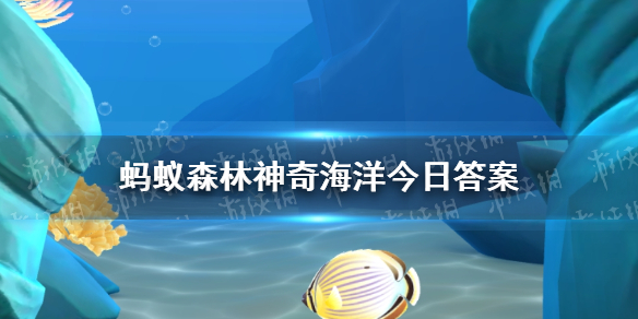 哪种鱼能用皮肤辅助呼吸 神奇海洋9月5日答案
