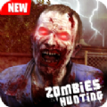 Zombies Hunting游戏