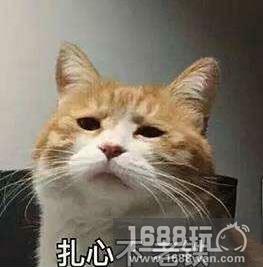 初夏的邂逅，来《姬魔恋战纪》约会各路女神[多图]