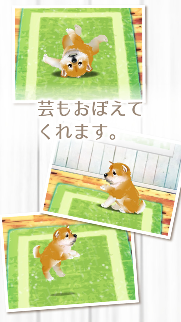 治愈的柴犬游戏
