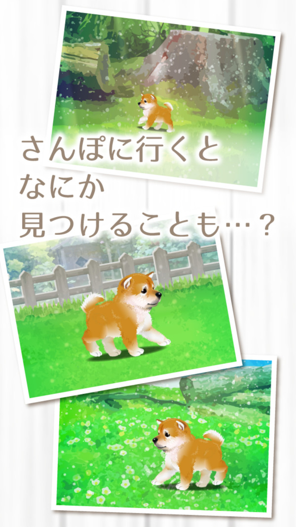 治愈的柴犬游戏