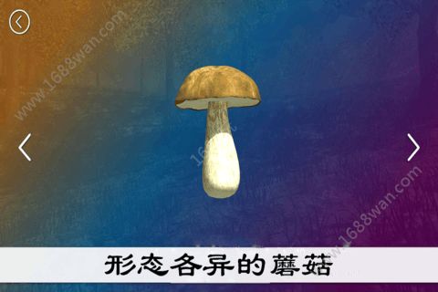 真实采集蘑菇模拟器游戏