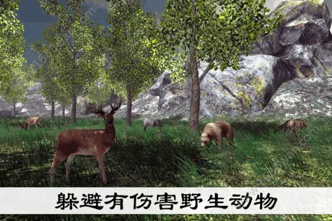 真实采集蘑菇模拟器游戏