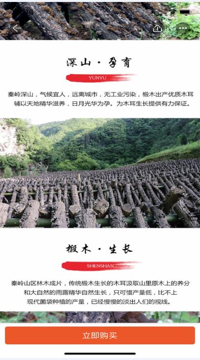 永安墨宝app