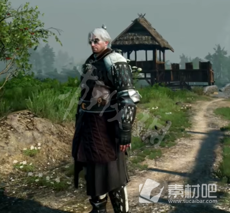 《巫师3》次时代版新增服装数值介绍