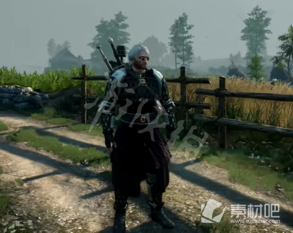 《巫师3》次时代版新增服装数值介绍