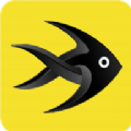 粉鱼生活app
