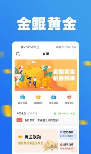 金鲲黄金app