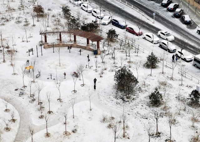 2021年第一场雪 北京地面开始见白[多图]