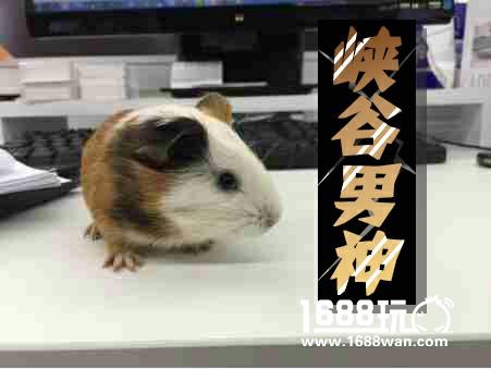 王者荣耀KPL虎牙直播惊现赛果预言帝-峡谷男神[多图]