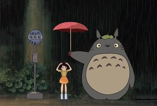 原来龙猫打伞是真的是什么梗？出处及含义介绍[多图]
