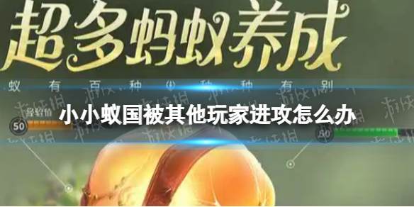 《小小蚁国》被其他玩家进攻怎么办 被其他玩家该该如何应对