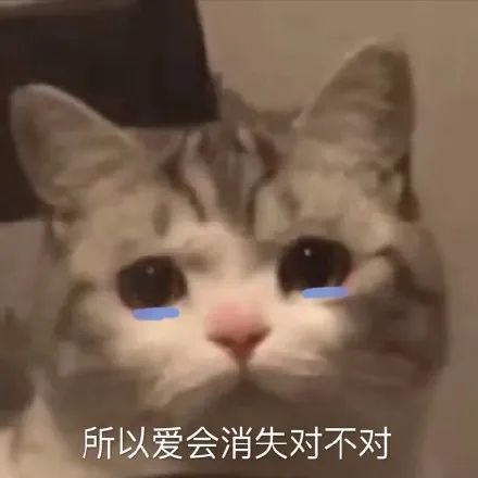 所以爱会消失对不对表情包 所以爱会消失对不对表情包图片分享[多图]