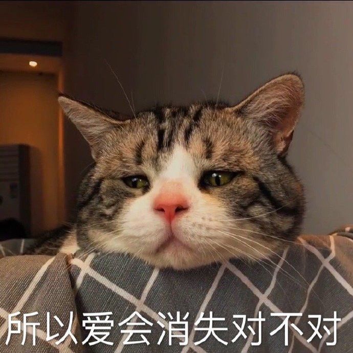 所以爱会消失对不对表情包 所以爱会消失对不对表情包图片分享[多图]