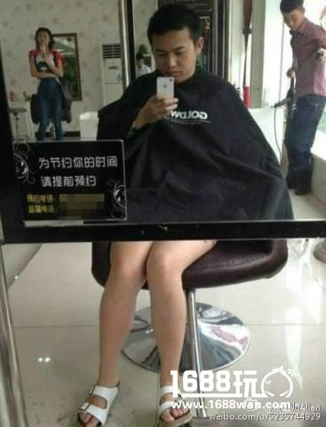 铲屎的，你还想听首什么曲子？ 搞笑囧图[多图]