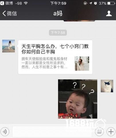 铲屎的，你还想听首什么曲子？ 搞笑囧图[多图]