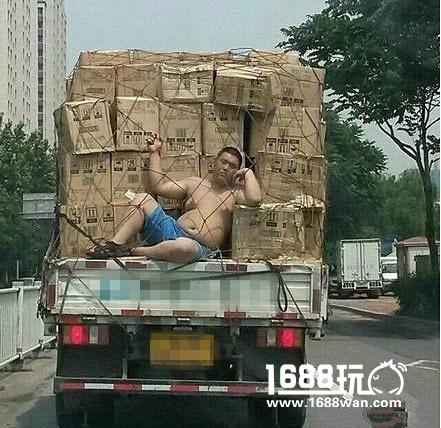 铲屎的，你还想听首什么曲子？ 搞笑囧图[多图]