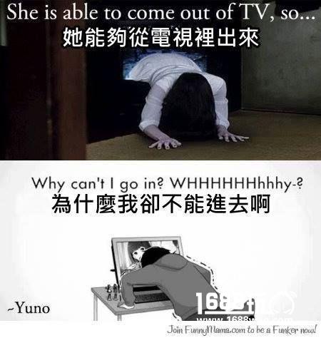 铲屎的，你还想听首什么曲子？ 搞笑囧图[多图]