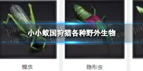 《小小蚁国》狩猎各种野外生物 小小蚁国野外生物有哪些