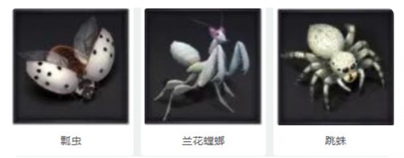 《小小蚁国》狩猎各种野外生物 小小蚁国野外生物有哪些