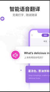 语音翻译器