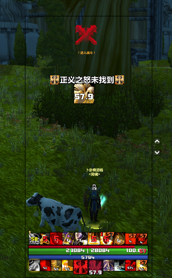魔兽世界wlk防骑监控wa