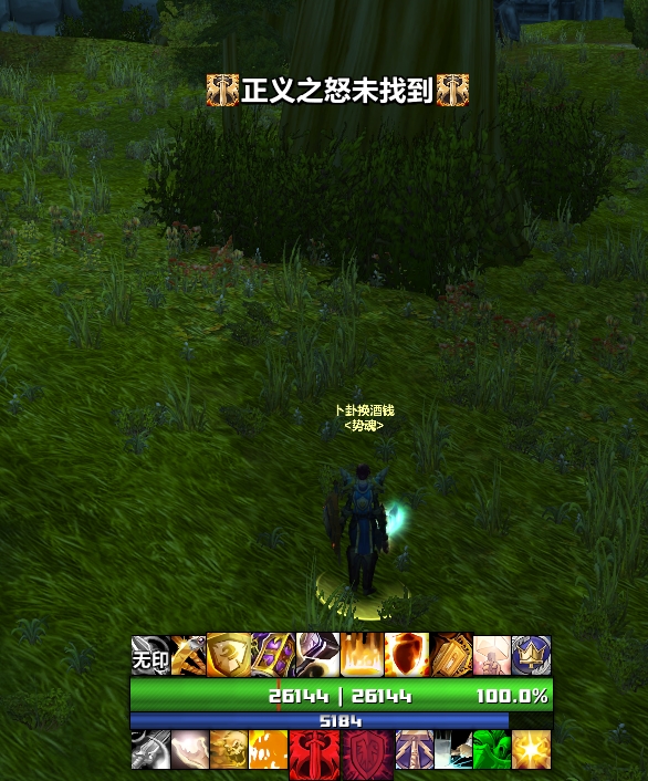 魔兽世界wlk防骑监控wa