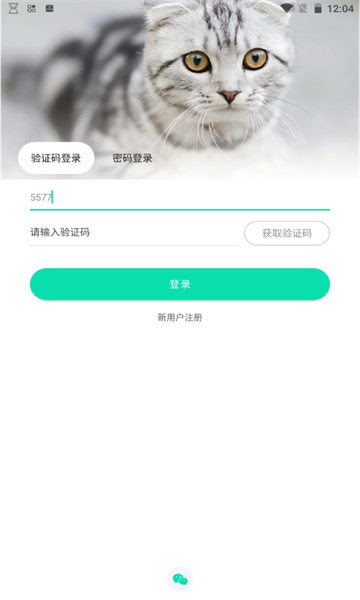 桔柒安卓版