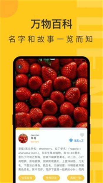 随手拍照识物APP下载软件