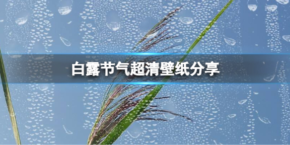 白露节气超清壁纸分享 白露节气秋意浓壁纸在哪找