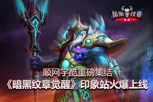 顺网宇酷重磅集结《暗黑纹章觉醒》印象站火爆上线[多图]