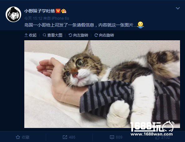勇士爱巨乳有错吗？？？ 搞笑囧图[多图]