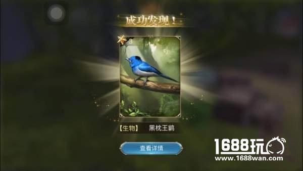 大航海之路探索任务宝蓝色的小鸟坐标详解[多图]