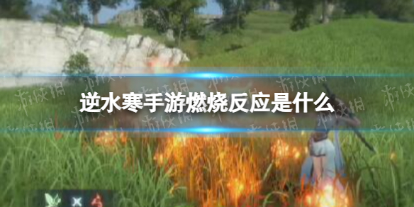 《逆水寒手游》燃烧反应是什么 燃烧反应介绍