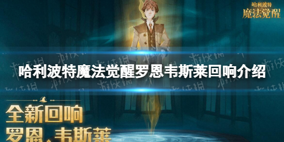 《哈利波特魔法觉醒》罗恩韦斯莱回响怎么样 罗恩韦斯莱回响介绍