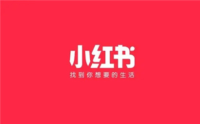 小红书怎么查看自己的笔记周报